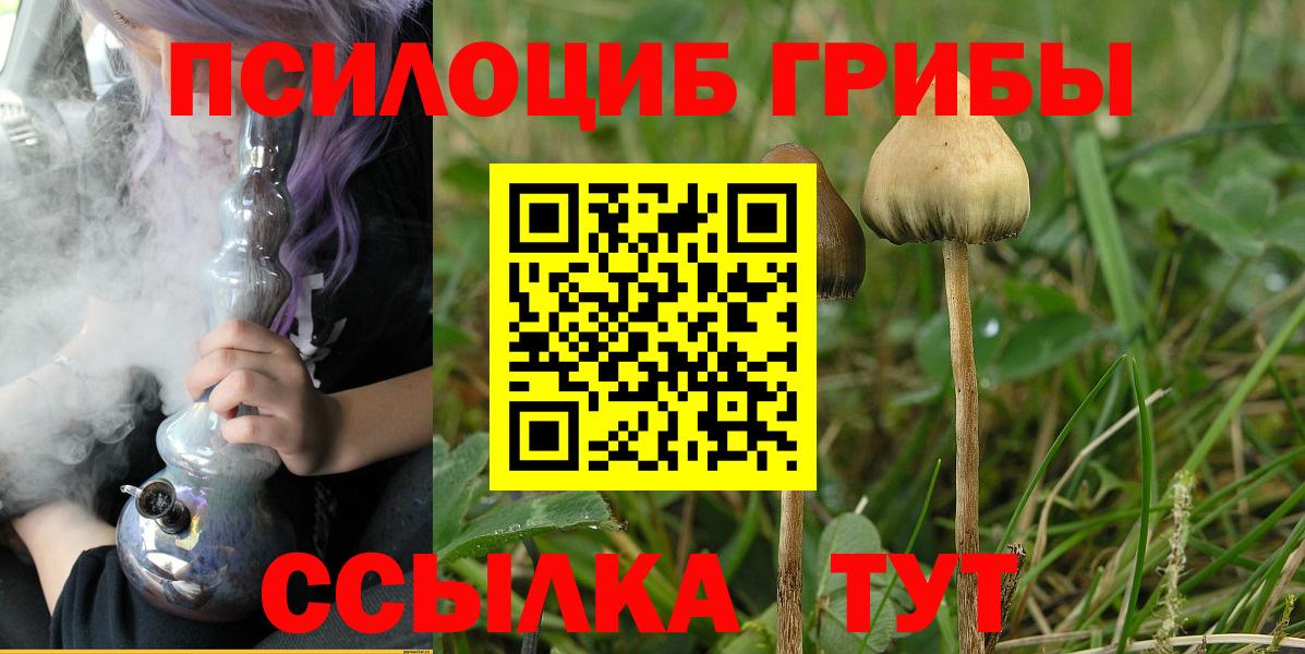 Галлюциногенные грибы мухоморы Стерлитамак