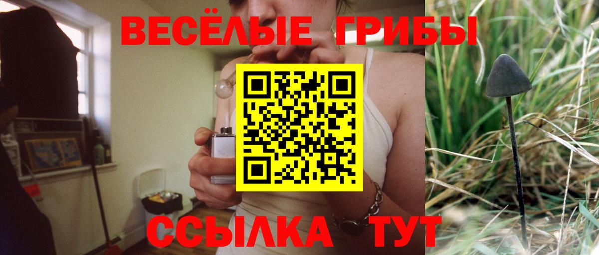закладка  Вход с VPN  Стерлитамак  Псилоцибиновые грибы Psilocybe 